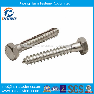 Stock DIN571 SS304/316 Stainless Steel Decorative Wood Lag Screws